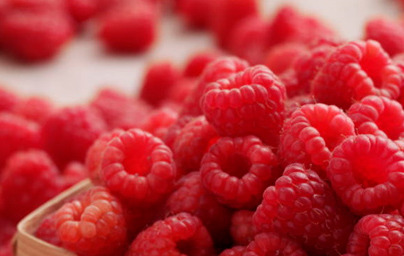 Maline (Rubus idaeus)